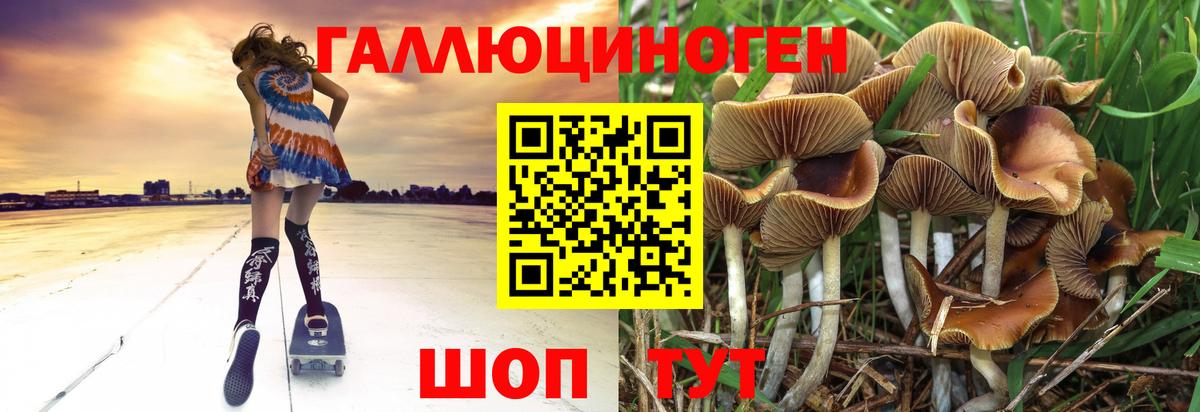 Железноводск  Псилоцибиновые грибы прущие грибы  Вход с VPN 